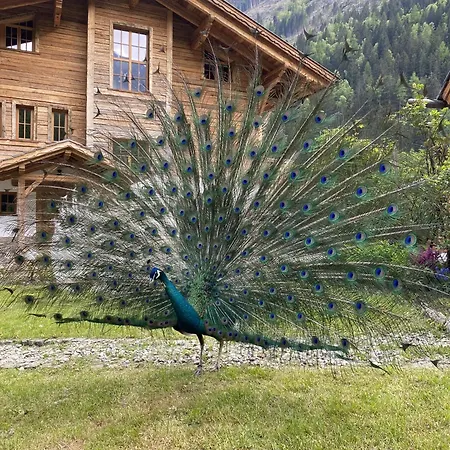 Hideaway Eggerfeld Chalet Flattach