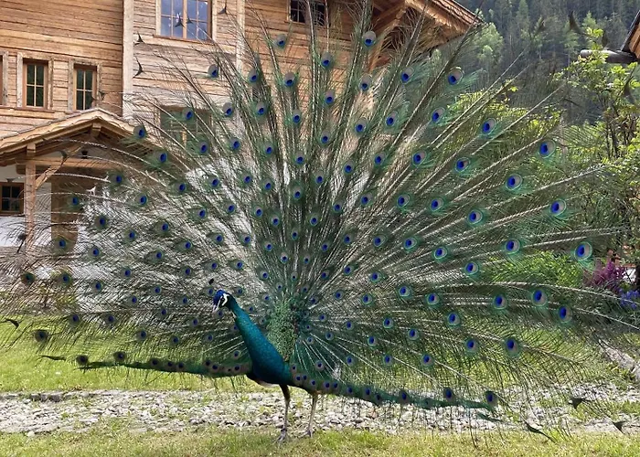 Grand Chalet Flattach